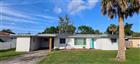 1817 DATE PALM DR, EDGEWATER, FL - MLS# TB8509472