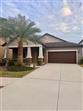 TB8509810 - 14023 TROPICAL KINGBIRD WAY, RIVERVIEW, FL 33579