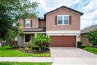 18929 BIRCHWOOD GROVES DR, LUTZ, FL - MLS# TB8510102