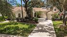 2528 CENTENNIAL FALCON DR, VALRICO, FL - MLS# TB8510424