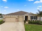 TB8510498 - 10403 LAXER CAY LOOP, SAN ANTONIO, FL 33576