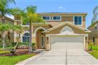 TB8510560 - 25147 GEDDY DR, LAND O LAKES, FL 34639