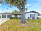 18320 DOLLY BROOK LN, LUTZ, FL - MLS# TB8511336