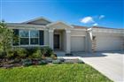 3115 CANOPY OAK BLVD, WILDWOOD, FL - MLS# TB8511517