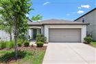 12011 MIRACLE MILE DR, RIVERVIEW, FL - MLS# TB8512417