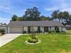 TB8513103 - 4110 HELENE PL, VALRICO, FL 33594