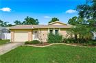 2914 CYPRESS GREEN DR, PALM HARBOR, FL - MLS# TB8513249