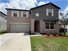 31823 SUN KETTLE LOOP, WESLEY CHAPEL, FL - MLS# TB8513460