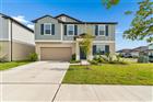 22203 CALISTO WAY, LAND O LAKES, FL - MLS# TB8513575