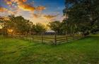 17321 SIMMONS RD, LUTZ, FL - MLS# TB8513644
