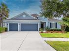 11318 COVENTRY GROVE CIR, LITHIA, FL - MLS# TB8513751