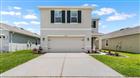 10483 PENNY GALE LOOP, SAN ANTONIO, FL - MLS# TB8514362