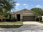 10638 LAGUNA PLAINS DR, RIVERVIEW, FL - MLS# TB8514541