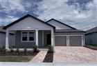 30153 MISTY PINES RD, MOUNT DORA, FL - MLS# TB8515288