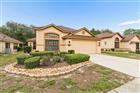 9311 HAAS DR, HUDSON, FL - MLS# TB8515484