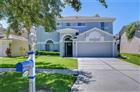 19312 SEA MIST LN, LUTZ, FL - MLS# TB8515635