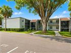 2812 SOMERSET PARK DR #105, TAMPA, FL - MLS# TB8515963