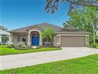 19101 GOLDEN CACOON PL, LUTZ, FL - MLS# TB8516413