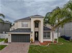 1449 KAFFIR LILY CT, TRINITY, FL - MLS# TB8516743