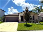 14906 IMPERIAL PURPLE LN, WIMAUMA, FL - MLS# TB8517854