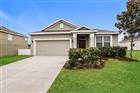 231 BLACKSTONE CREEK RD, GROVELAND, FL - MLS# TB8518053