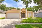 TB8518120 - 19204 WOOD SAGE DR, TAMPA, FL 33647
