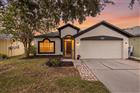TB8518411 - 22633 MARSH WREN DR, LAND O LAKES, FL 34639