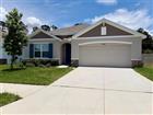 10866 QUAIL GROVE WAY, SAN ANTONIO, FL - MLS# TB8518549