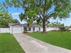 22630 NEWFIELD CT, LAND O LAKES, FL - MLS# TB8518898