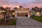TB8519447 - 20828 EUSTIS RD, LAND O LAKES, FL 34637