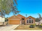 31806 PARKDALE DR, LEESBURG, FL - MLS# TB8520395