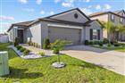 4316 FABULOUS FINCH LN, BARTOW, FL - MLS# TB8520606