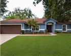 1313 OAK VALLEY BLVD, MINNEOLA, FL - MLS# TB8520934