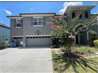 TB8521214 - 10531 MISTFLOWER LN, TAMPA, FL 33647