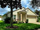 806 LESA GLEN PL, BRANDON, FL - MLS# TB8521850