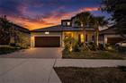 10394 TUPPER CAY DR, SAN ANTONIO, FL - MLS# TB8522001