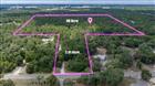 TB8522005 - 15624 PEACE BLVD, SPRING HILL, FL 34610