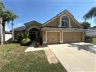 2727 VILLA DR, VALRICO, FL - MLS# TB8522875