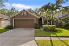 TB8523178 - 10238 WOODFORD BRIDGE ST, TAMPA, FL 33626