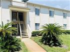 134 CYPRESS CT, OLDSMAR, FL - MLS# TB8523220