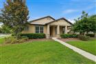 14130 BARRINGTON STOWERS DR, LITHIA, FL - MLS# TB8523291