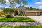 TB8523391 - 10522 CHAMBERS DR, TAMPA, FL 33626