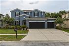 4446 WILDSTAR CIR, WESLEY CHAPEL, FL - MLS# TB8524052