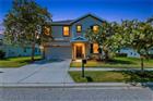 21439 SOUTHERN CHARM DR, LAND O LAKES, FL - MLS# TB8524379