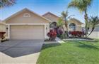 3137 CASTLE ROCK CIR, LAND O LAKES, FL - MLS# TB8524486