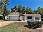 8205 PAGODA DR, SPRING HILL, FL - MLS# TB8524604