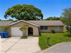 7437 CARMEL AVE, NEW PORT RICHEY, FL - MLS# TB8524606