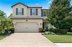 18793 DEER TRACKS LOOP, LUTZ, FL - MLS# TB8524876