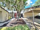 205 WOODS LANDING TRL, OLDSMAR, FL - MLS# TB8524916