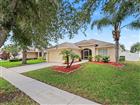 2620 BUCKHORN PRESERVE BLVD, VALRICO, FL - MLS# TB8524974